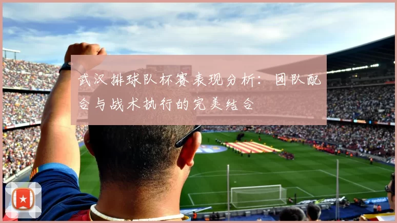 武汉排球队杯赛表现分析：团队配合与战术执行的完美结合