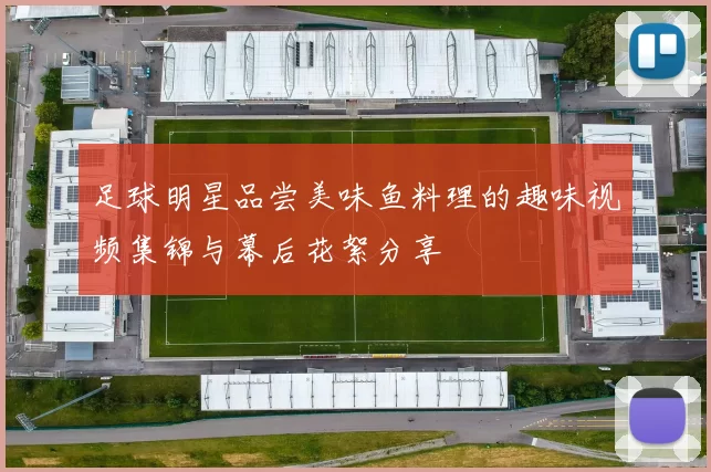 足球明星品尝美味鱼料理的趣味视频集锦与幕后花絮分享