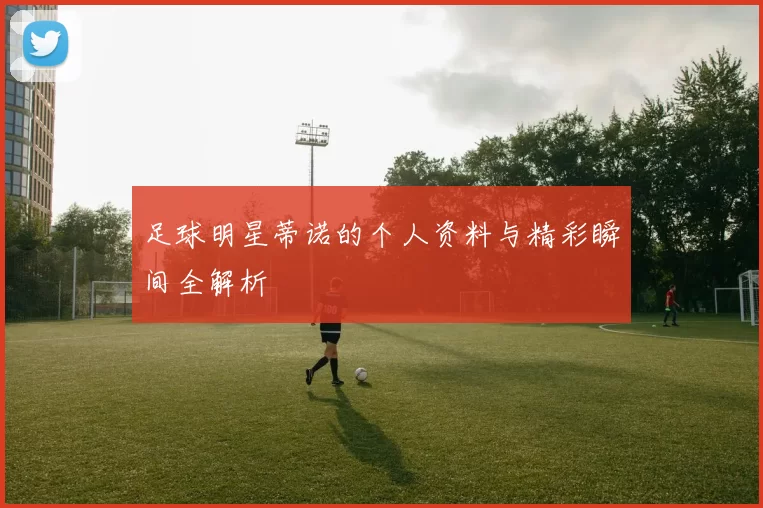 足球明星蒂诺的个人资料与精彩瞬间全解析