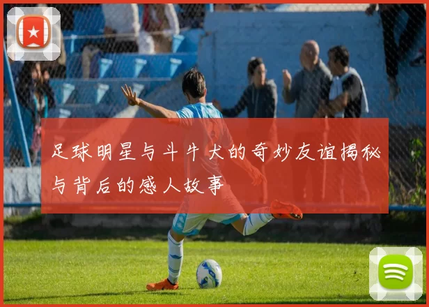 足球明星与斗牛犬的奇妙友谊揭秘与背后的感人故事