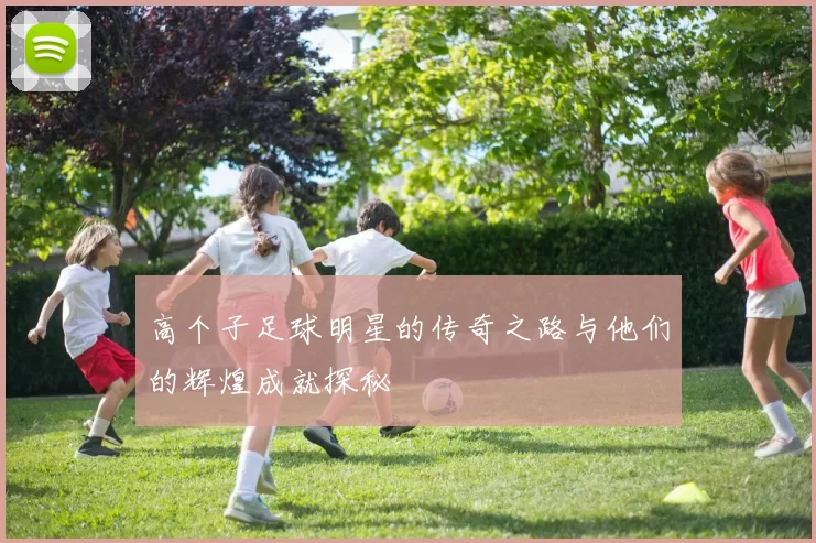 高个子足球明星的传奇之路与他们的辉煌成就探秘