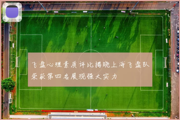飞盘心理素质评比揭晓上海飞盘队荣获第四名展现强大实力
