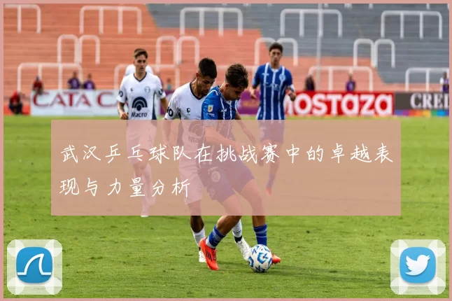 武汉乒乓球队在挑战赛中的卓越表现与力量分析