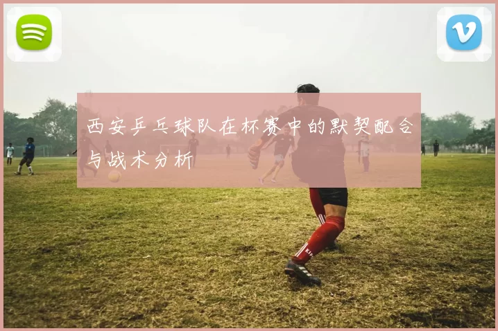 西安乒乓球队在杯赛中的默契配合与战术分析