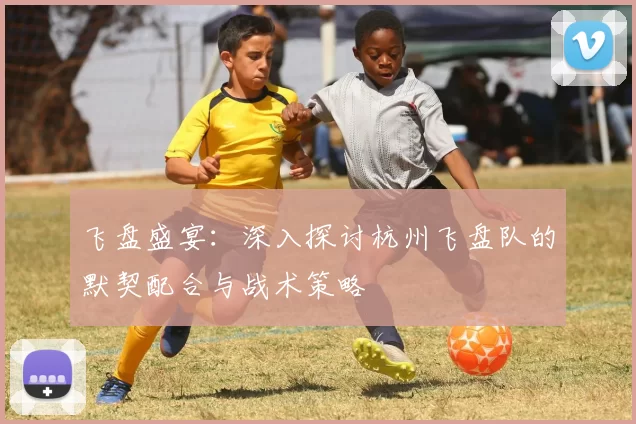 飞盘盛宴：深入探讨杭州飞盘队的默契配合与战术策略
