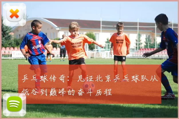 乒乓球传奇：见证北京乒乓球队从低谷到巅峰的奋斗历程