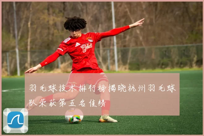 羽毛球技术排行榜揭晓杭州羽毛球队荣获第五名佳绩
