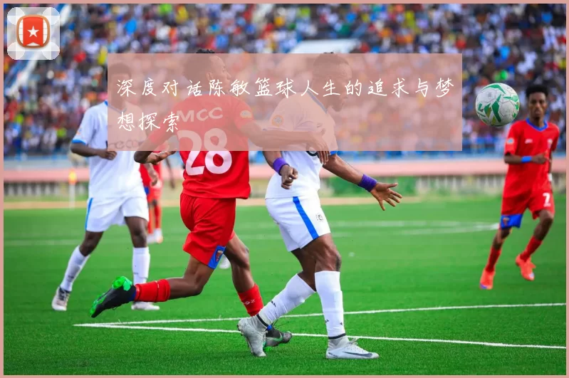 深度对话陈敏篮球人生的追求与梦想探索