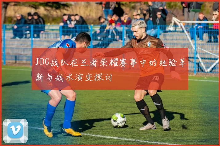 JDG战队在王者荣耀赛事中的经验革新与战术演变探讨