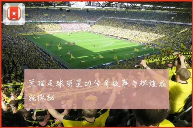 黑猫足球明星的传奇故事与辉煌成就探秘