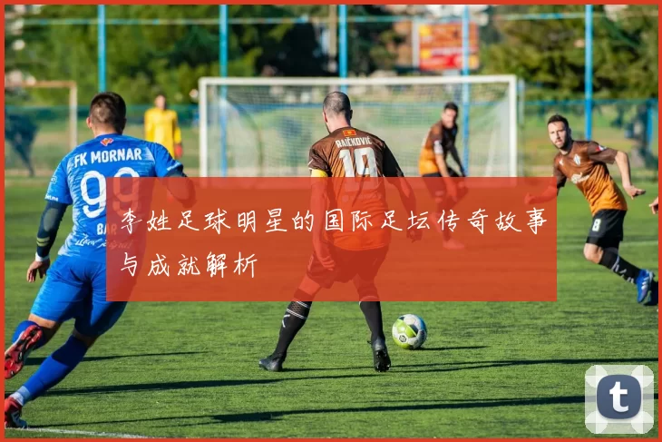 李姓足球明星的国际足坛传奇故事与成就解析