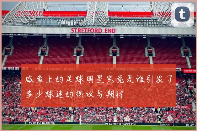 咸鱼上的足球明星究竟是谁引发了多少球迷的热议与期待