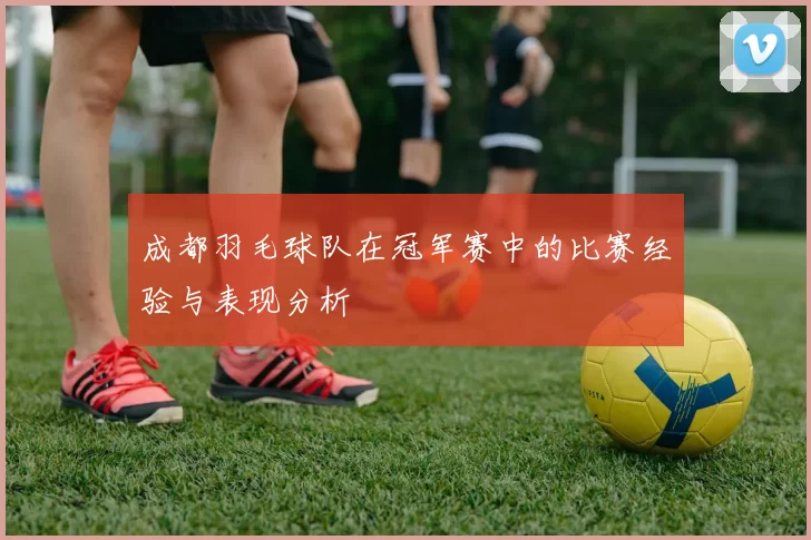 成都羽毛球队在冠军赛中的比赛经验与表现分析