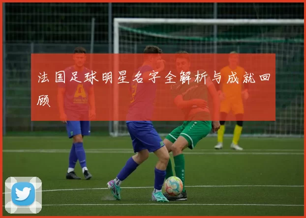 法国足球明星名字全解析与成就回顾
