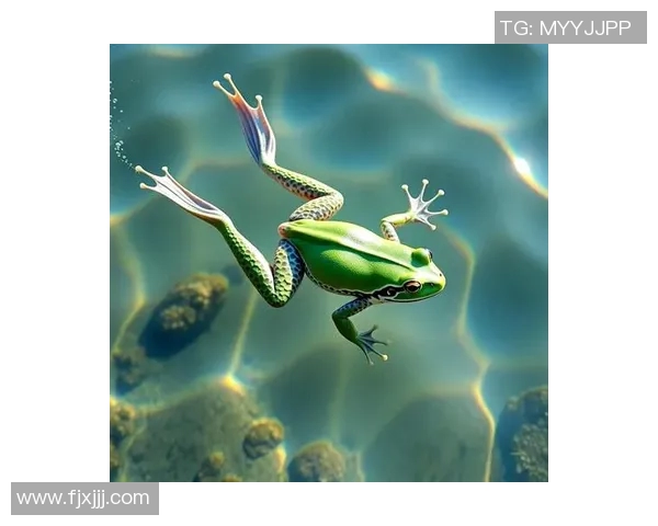 蛙泳呼吸技巧全面解析 提升呼吸效率与水中表现的关键要点 蛙泳呼吸技巧全面解析 提升呼吸效率与水中表现的关键要点